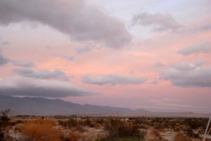 Borrego Springs Dec 2006