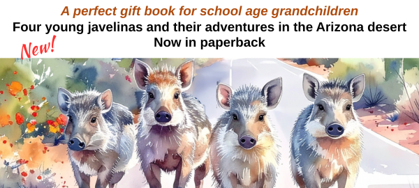 Javellina Cousins paperback children's book 